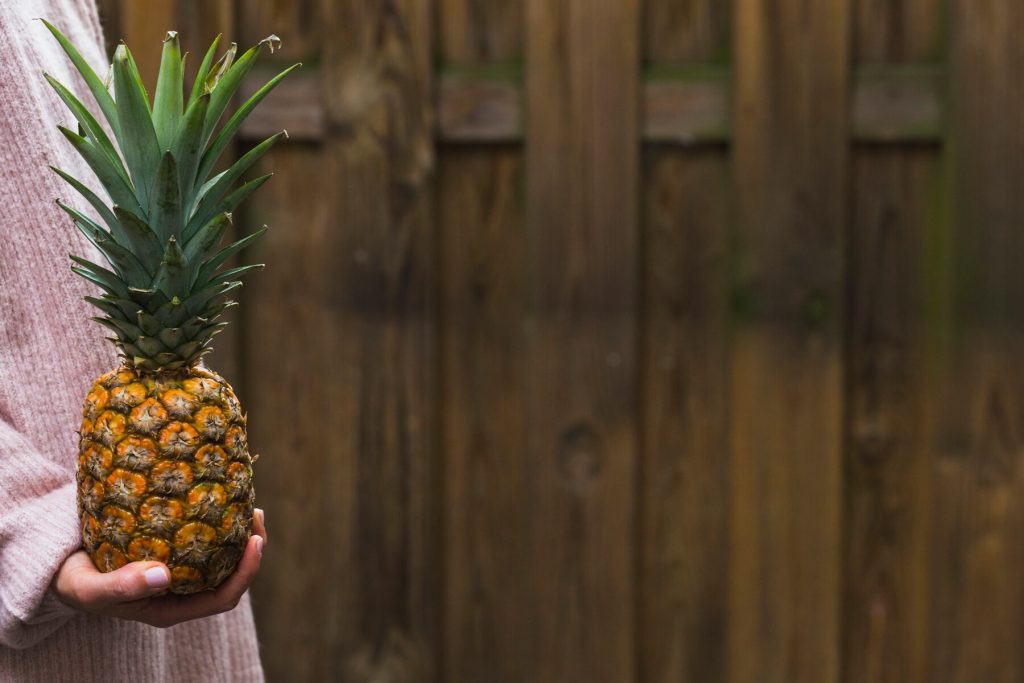Pineapples Mean in RV Parks