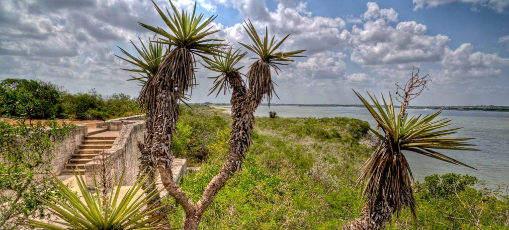 Lake Corpus Christi State